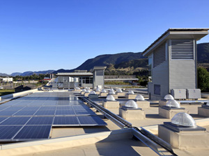 Building Roof Top Maintenance